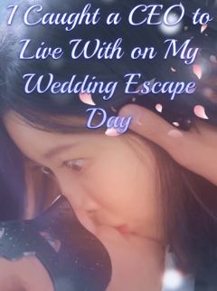 I Caught a CEO to Live With on My Wedding Escape Day
