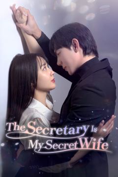 My Secretary Who Once Was My Wife